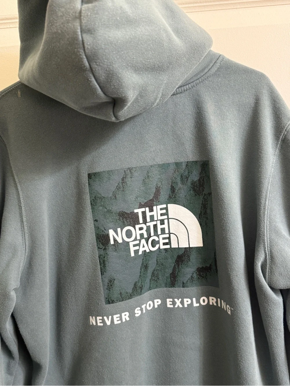 The North Face Men’s Hoodie - Teal